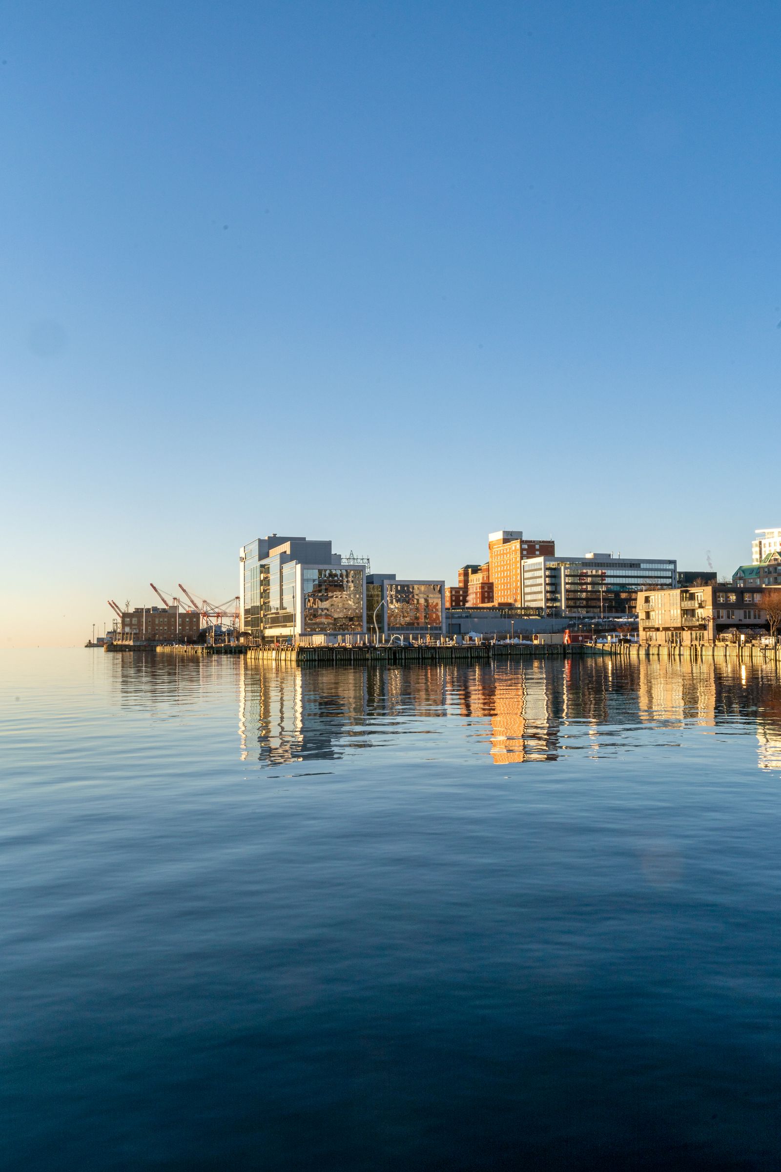 Halifax harbour at dawn, calm water reflecting the downtown waterfront skyline